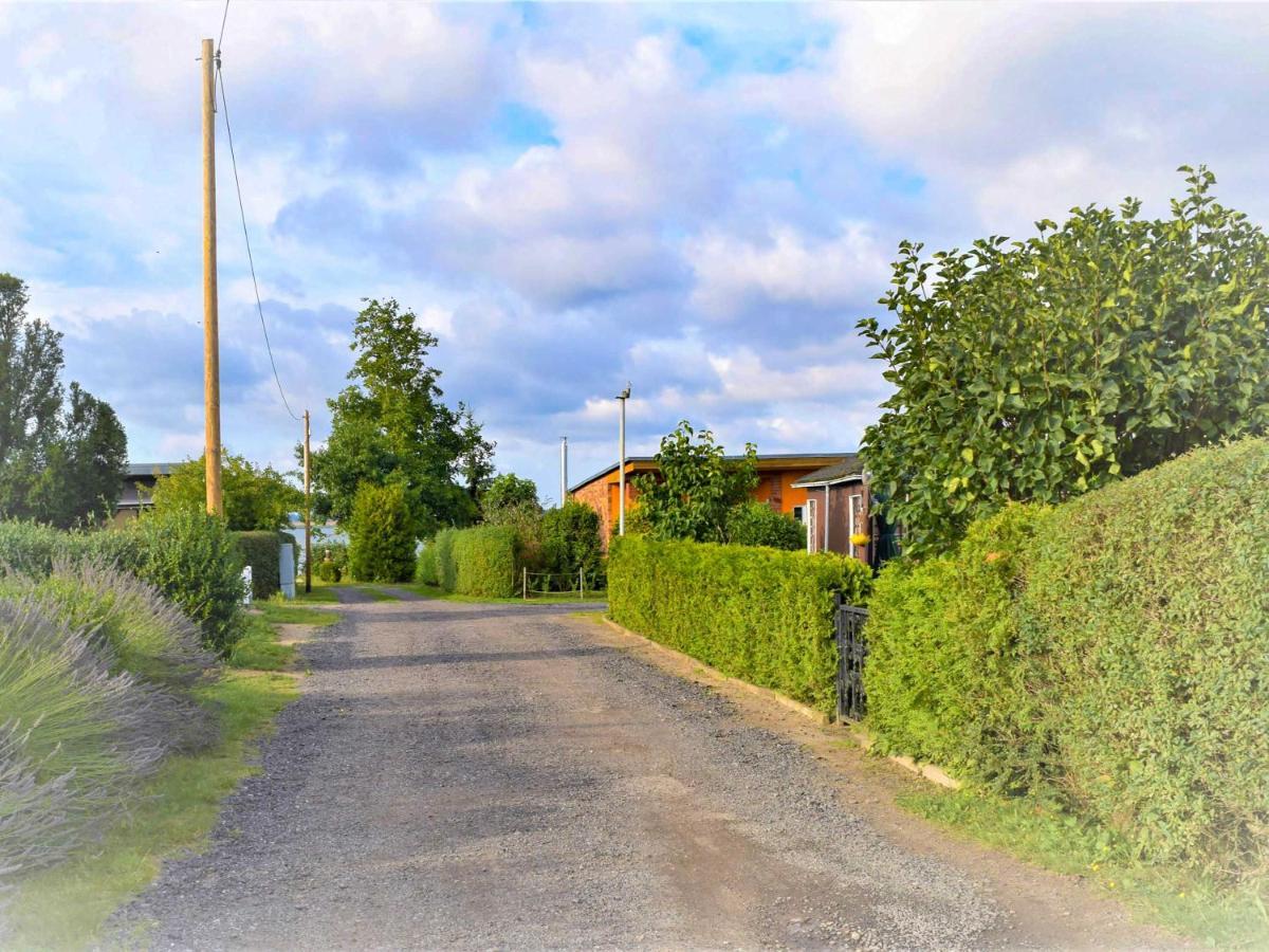 Bungalow Am Sund Stahlbrode Экстерьер фото